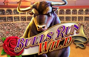 Bulls Run Wild